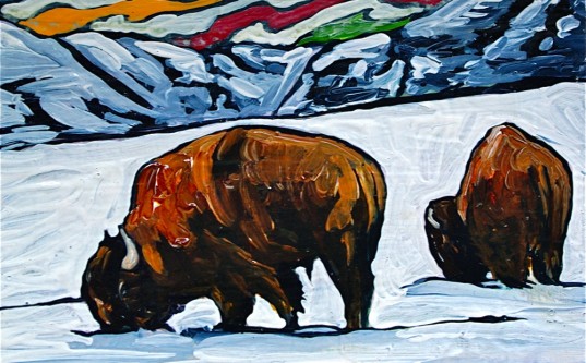 Bison2